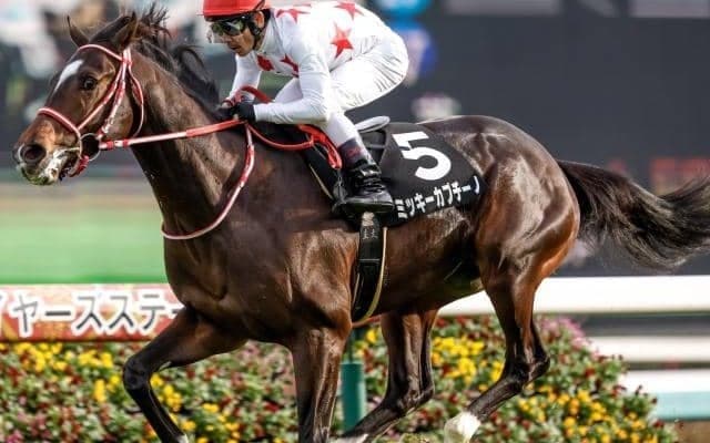 【ホープフルS前日オッズ】ミッキーカプチーノが3.7倍で1番人気