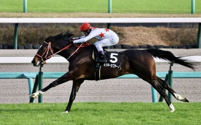 【ホープフルS】ミッキーカプチーノは大外へ