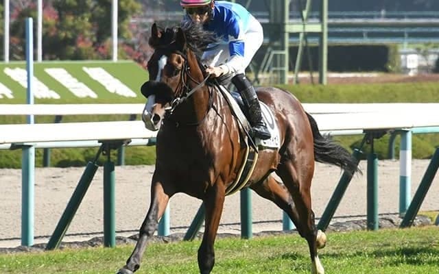 武豊騎手前人未踏の大記録達成へ ホープフルSの相棒に注目 