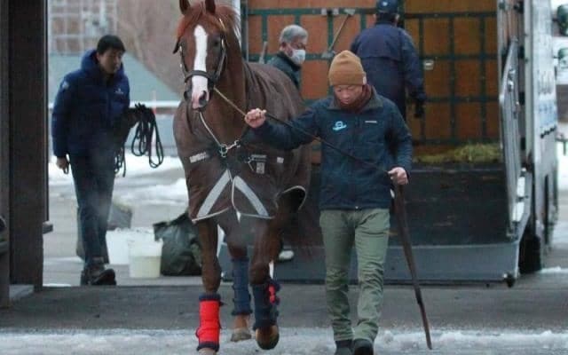 豪州で大ブレイクの種牡馬モーリスが帰国 アドマイヤマーズとともに