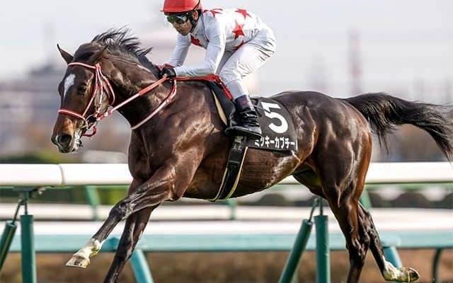 【ホープフルS・馬体重】ミッキーカプチーノは524kg(+2)、ガストリックは518kg(+8)