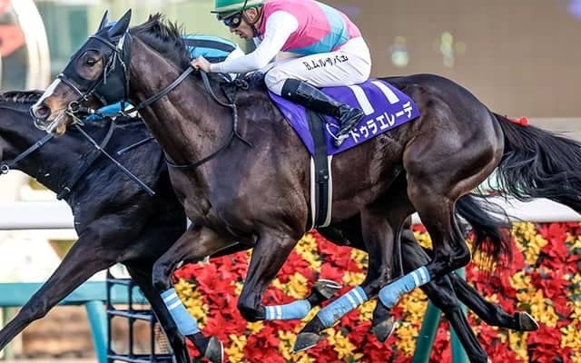 今年最後のJRA・GIは246万円の大荒れ 14番人気のドゥラエレーデがホープフルS制す