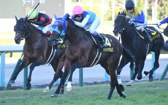 【中山金杯】アドマイヤビルゴ、ウインキートスらが登録