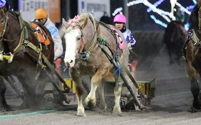 ばんえい十勝・大友栄人調教師 通算1500勝を達成！