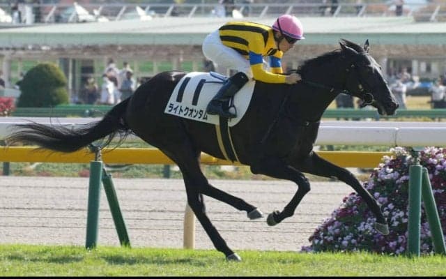 【シンザン記念登録馬】ライトクオンタムなど16頭