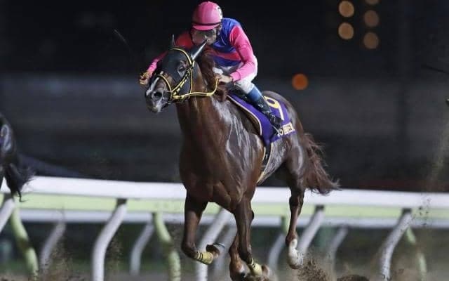 【大井・東京大賞典注目馬】ダート路線の総決算 帝王賞覇者メイショウハリオら全国から実力馬集う