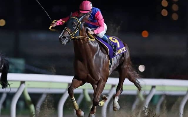 【AI予想・東京大賞典】今回は差し届く？ AIがはじき出した予測勝率トップの馬