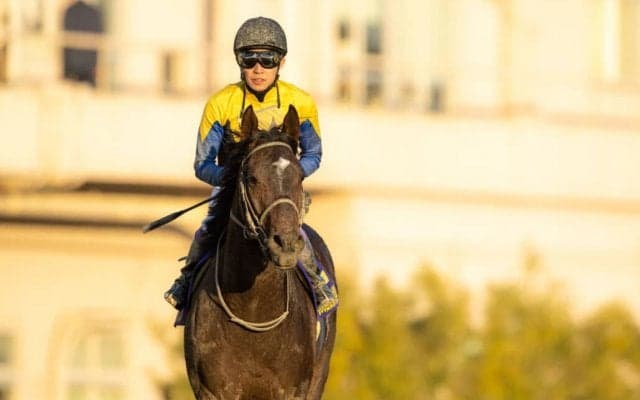 【東京大賞典】武豊「大井2000合っている」レース後ジョッキーコメント