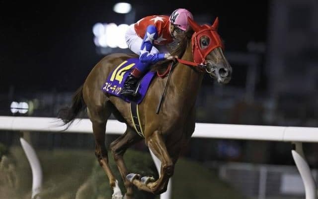 【大井・東京シンデレラマイル注目馬】スピーディキックが古馬撃破に挑む