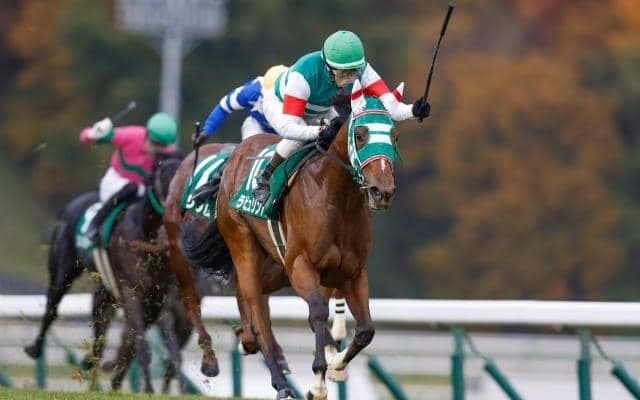 【大井・東京2歳優駿牝馬注目馬】南関東競馬を締めくくるダート2歳女王決定戦