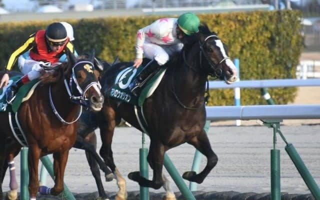 【京都金杯見どころ】マテンロウオリオンがGIIIで仕切り直し