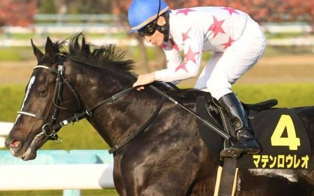 【中山金杯見どころ】明け4歳馬マテンロウレオが重賞2勝目を狙う