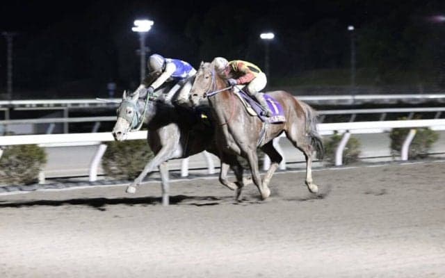 【高知県知事賞】高知2冠馬ガルボマンボが激戦を制す/林「嬉しい1年になった」