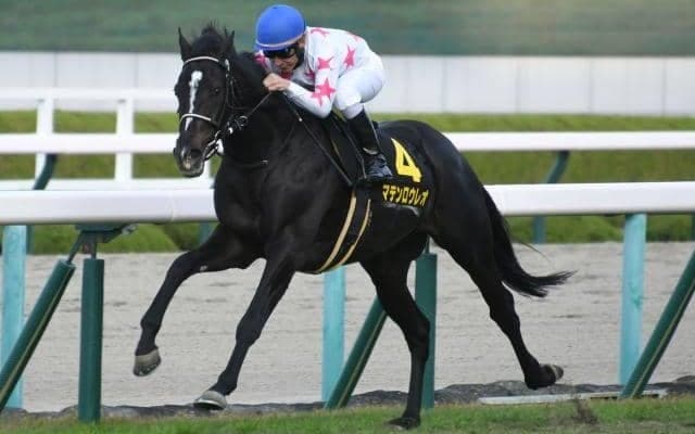 5日の金杯から2023年の中央競馬開幕、週末は3日間開催/今週の競馬界の見どころ