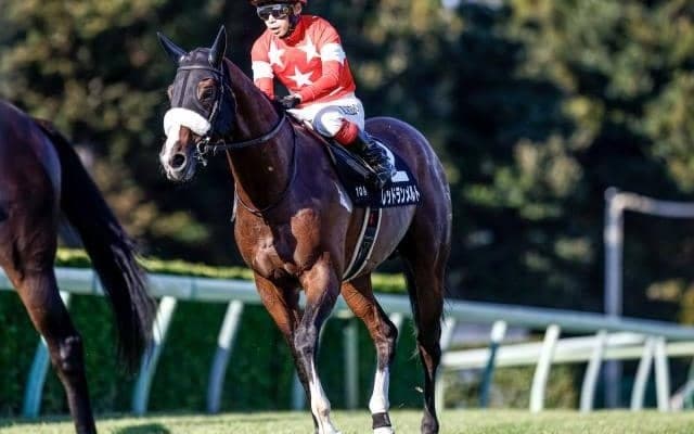 【中山金杯展望】JRA重賞戦線の幕開け、勢いのある馬に期待したい