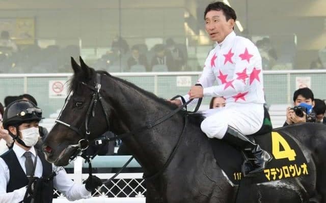 【中山金杯予想オッズ】マテンロウレオが予想1番人気