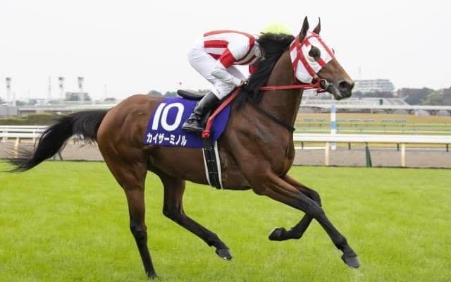 【京都金杯展望】波乱必至のハンデ戦、前走GI組に妙味無し