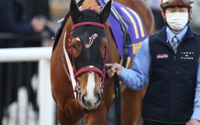 【川崎・報知オールスターC注目馬】道営記念馬vs南関東の実績馬 新年を飾る名物重賞