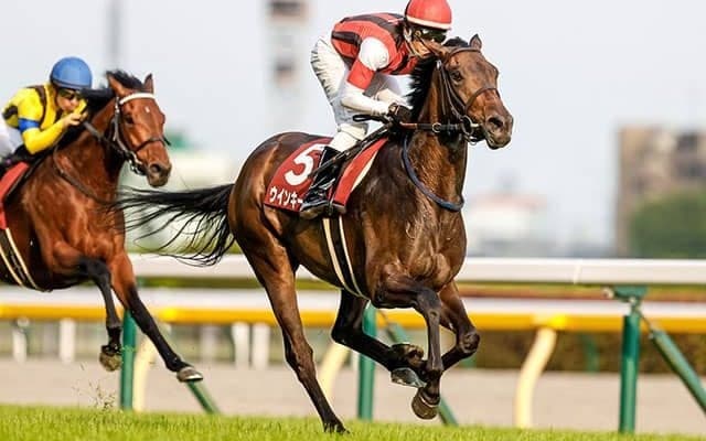 【中山金杯】メンバー中2頭のみのGIIウイナー・ウインキートス＆ワンダフルタウンに立ちはだかる厳しいデータとは？