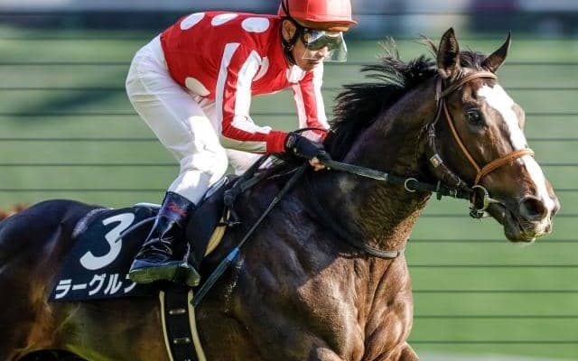 【中山金杯出走馬・騎手確定】マテンロウレオ＆横山和生騎手、ラーグルフ＆戸崎圭太騎手など17頭