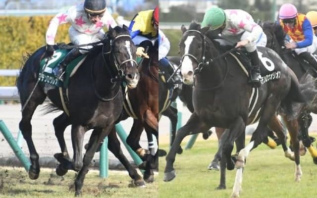 史上初の東西金杯同年Vなるか 昆貢師が “マテンロウ”レオ＆オリオンでチャレンジ