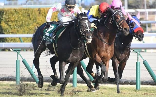 【中山金杯 調教後馬体重】マテンロウレオは482kg、ラーグルフは502kg