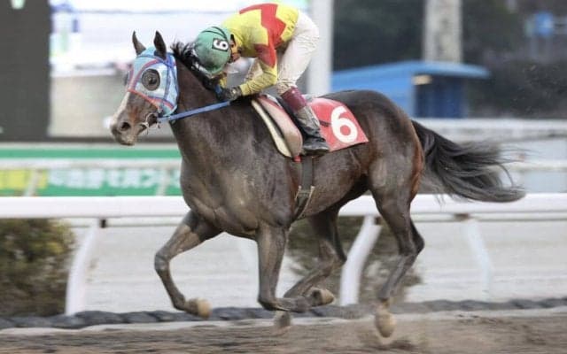 【高知・初夢特別】ダノンロイヤル準重賞初制覇/畑中「思い通りのレース」