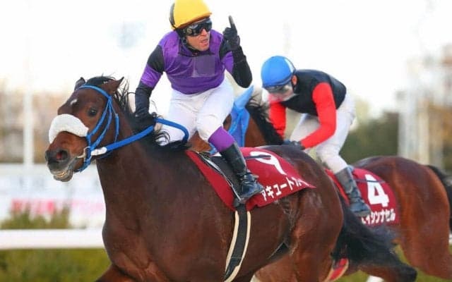 【園田・新春賞】アキュートガールが重賞初制覇/笹田「チャンスをもらえて良かった」