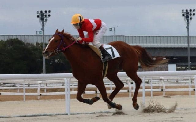 【名古屋けいば】細川智史騎手が地方通算100勝「ここからがスタートライン」