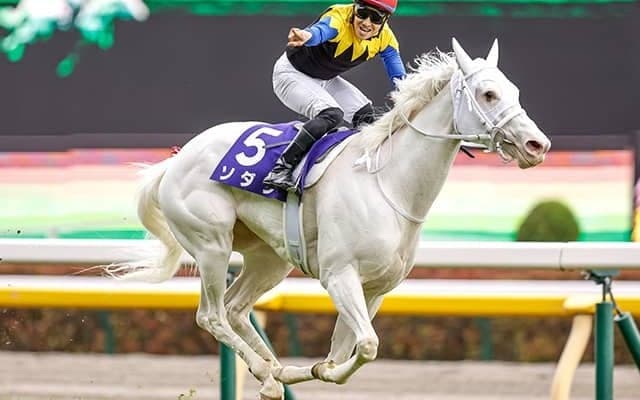  【競馬ファンが選ぶ最優秀マイラー】ソダシとセリフォスの一騎討ちか/netkeiba大賞 中間発表