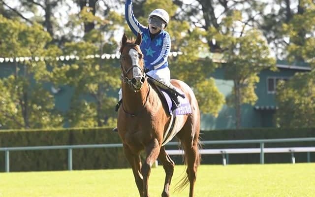  【競馬ファンが選ぶ最優秀スプリンター】1位はGI馬2頭の接戦に/netkeiba大賞 中間発表