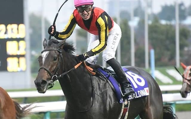 【競馬ファンが選ぶ最優秀4歳以上牝馬】1位は昨年大活躍のジェラルディーナ/netkeiba大賞 中間発表
