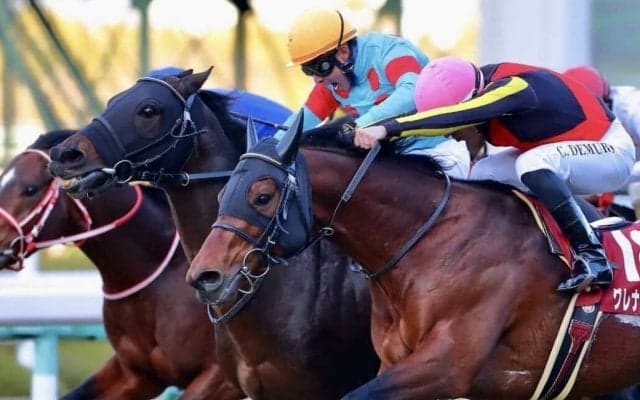 ダイアトニックが競走馬登録抹消