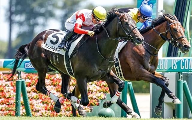 昨年の中京リーディング・中内田厩舎 開幕日に良血2頭がスタンバイ