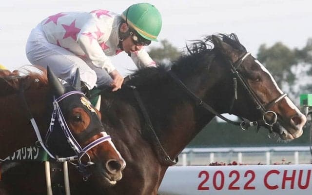 【京都金杯】マテンロウオリオンは5枠10番へ