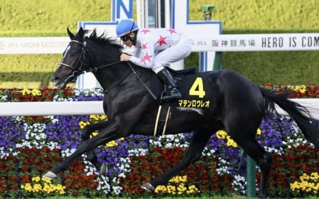 【中山金杯】マテンロウレオは1枠1番へ