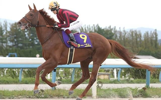 【中山金杯】7年ぶりの“快挙”なるか　ラーゴムが挑む“高い壁”とは？