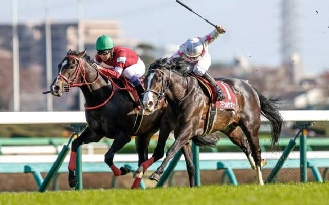 【今日の注目ポイント】2023年の中央競馬が開幕 中山と中京で東西金杯