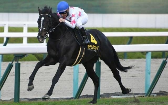 【中山金杯予想】今年最初の重賞レース ポイントは「一瞬の脚」よりも「長く良い脚」