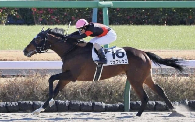 【新馬/中山3R】カレンブラックヒル産駒 フェブルウスがデビューV
