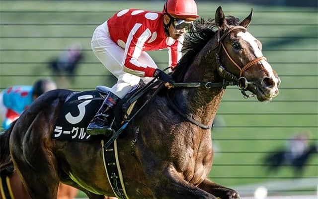 【中山金杯・馬体重】ラーグルフは500kg(+8)、マテンロウレオは478kg(+2)