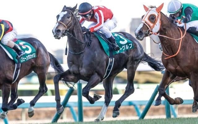 【中山金杯結果】明け4歳馬ラーグルフが接戦を制して重賞初V