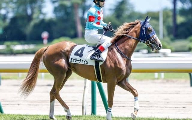 【フェアリーS出走馬・騎手確定】エナジーチャイム＆C.ルメール騎手、ヒップホップソウル＆松山弘平騎手など16頭