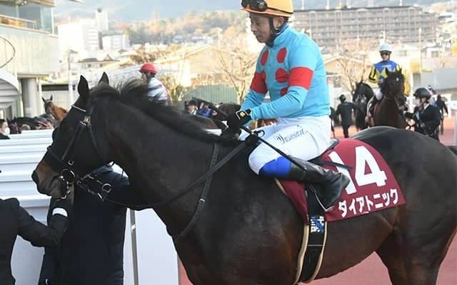 重賞5勝のダイアトニックが競走馬登録抹消 今後はオーストラリアで種牡馬に
