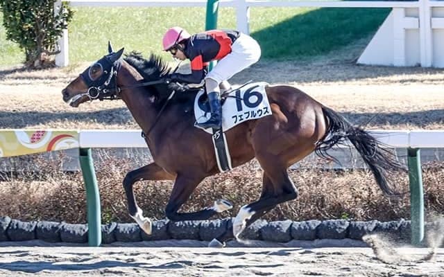 単勝7番人気Vで高配当演出 2023年最初の新馬戦