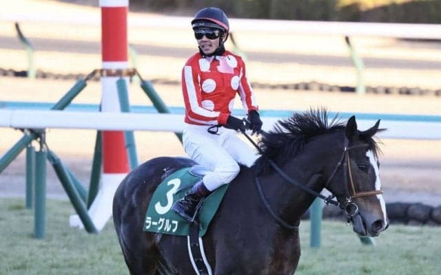 【中山金杯】戸崎「よく応えてくれた」ラーグルフが混戦を断ち切る