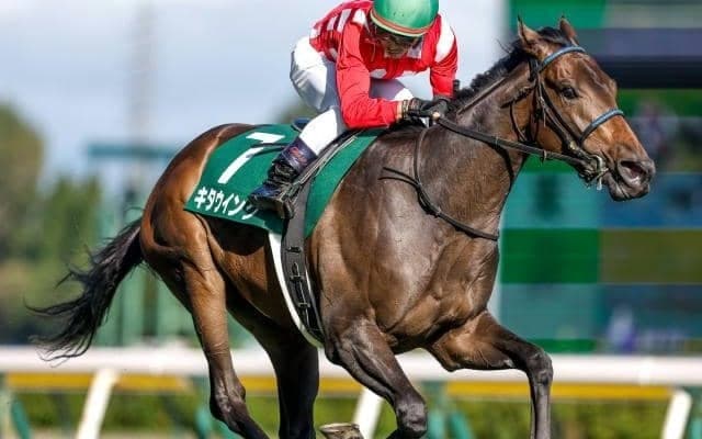 【フェアリーS見どころ】キタウイングの巻き返しなるか