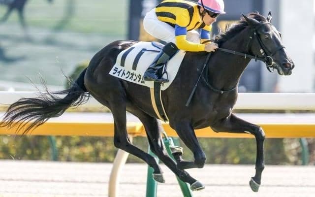 【シンザン記念見どころ】ディープ最終世代ライトクオンタムが鞍上武豊騎手で参戦