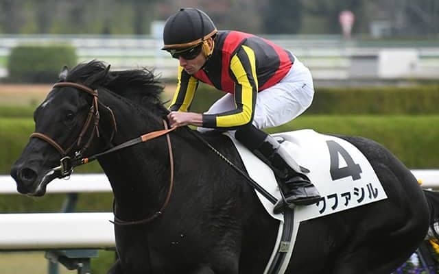 【シンザン記念】厩舎と血統に勢いあり！ 池添学厩舎＆祖母エアグルーヴのクファシルに注目だ