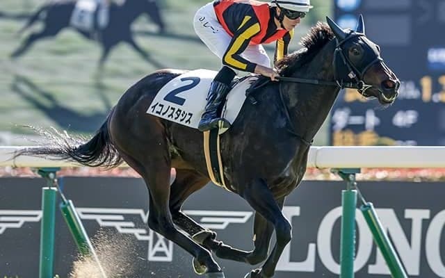 【フェアリーS】血のジンクスに挑むイコノスタシス…父母ともにロベルト系の馬がJRA重賞Vなら史上初！